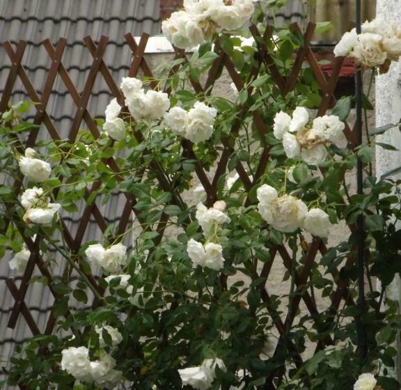 ペンション Zum Achten Himmel