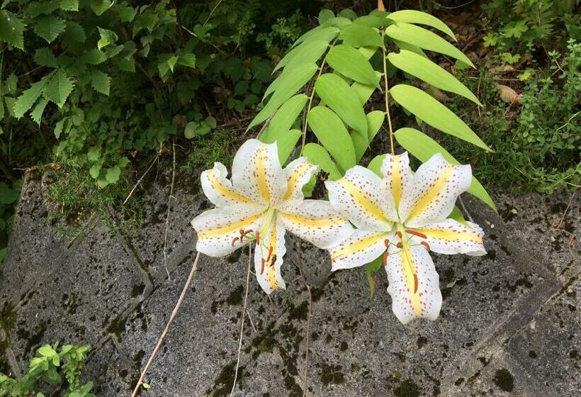 Pension ぽかぽか（poka Poka）