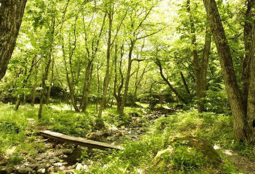 渡假胜地  Yatsugatake Grace