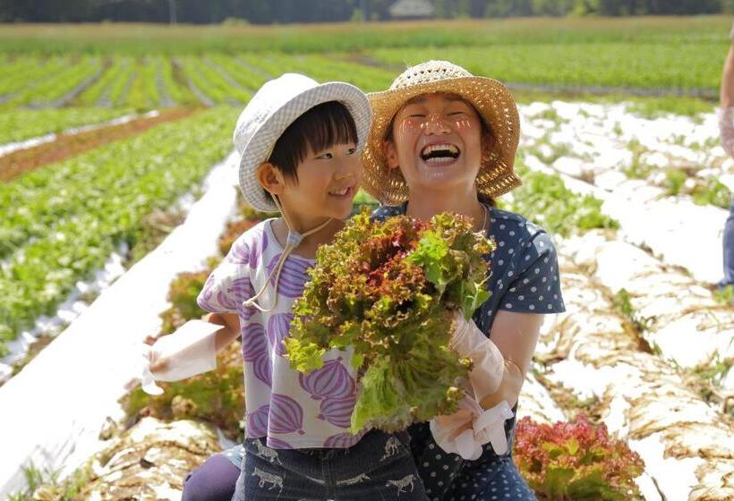 渡假胜地  Yatsugatake Grace