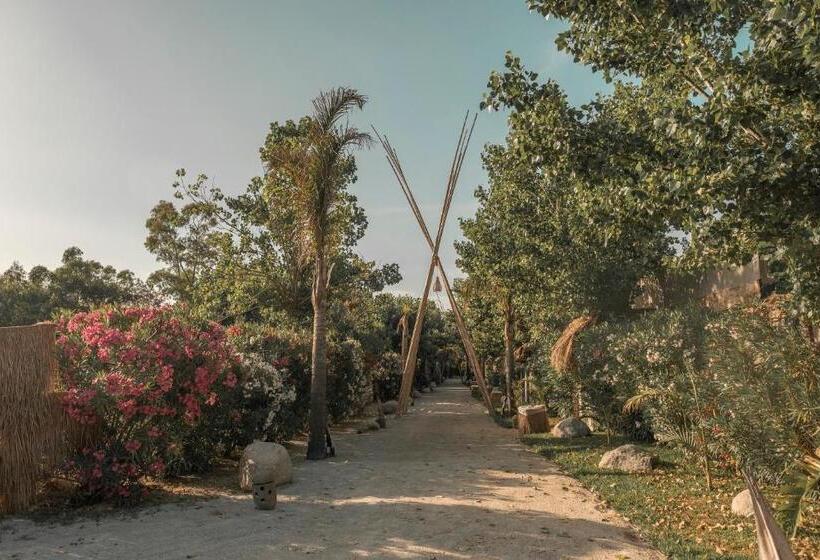 Riva Del Sol Beach Resort