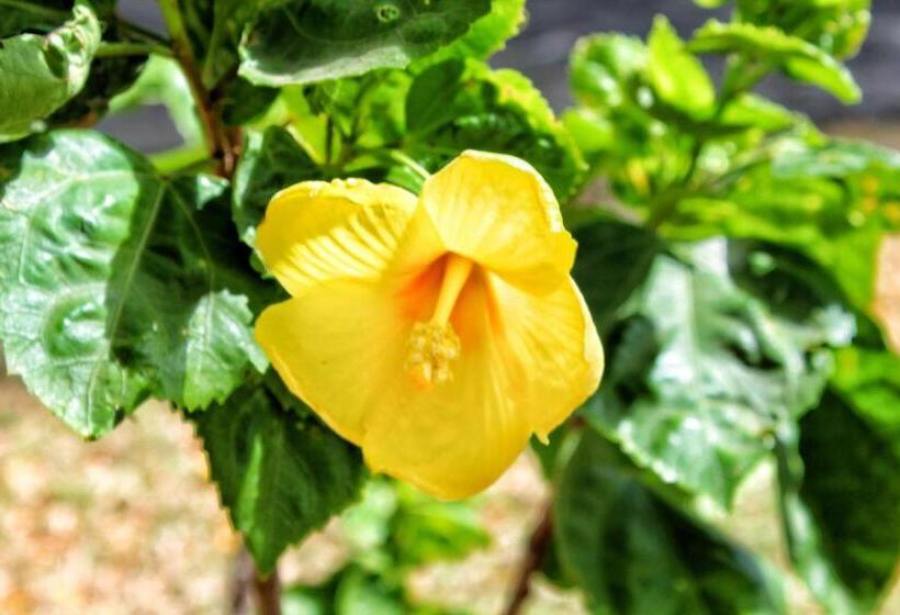 San Marcos 124 Gran Pacifica Resort