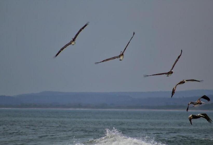 San Marcos 124 Gran Pacifica Resort