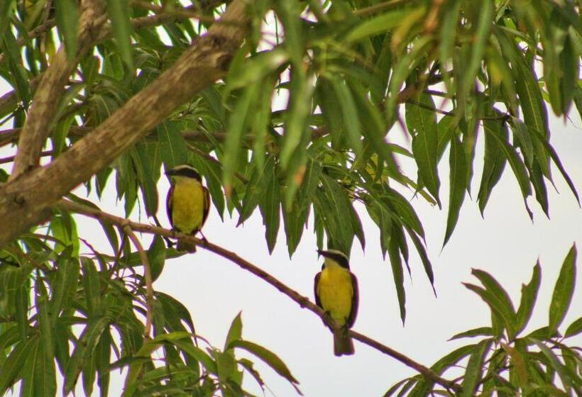 San Marcos 124 Gran Pacifica Resort