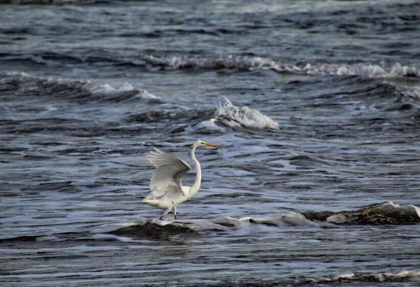 Suite Rivas 126 Gran Pacifica Resort