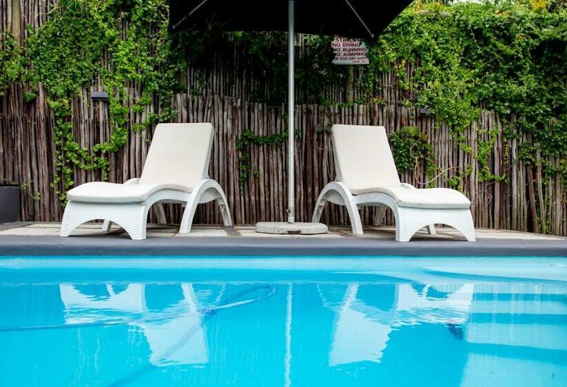 مبيت وإفطار Tranquility Lodge