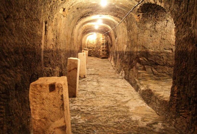 בית מלון כפרי Mariel Znojmo