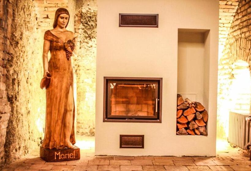 בית מלון כפרי Mariel Znojmo