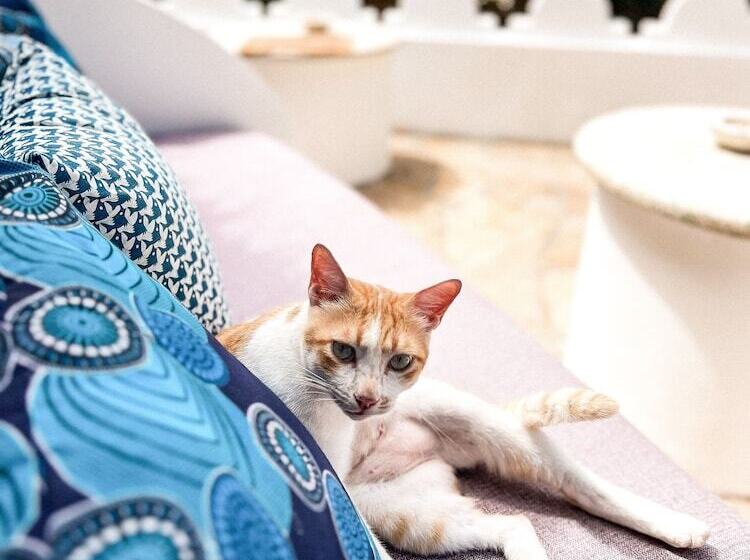 فندق Zanzibar Retreat