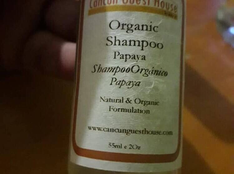 פנסיון Cancun Guest House 5