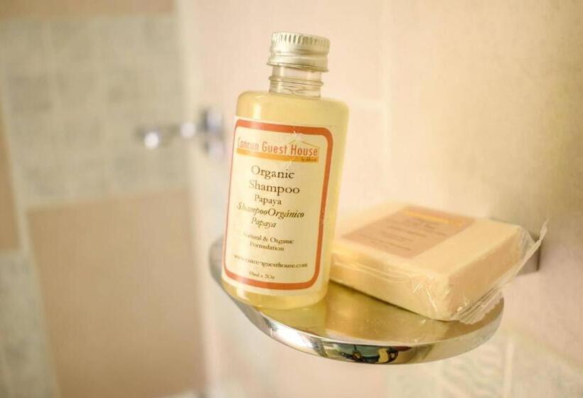 פנסיון Cancun Guest House 5