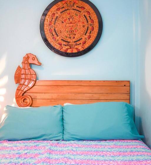 پانسیون Cancun Guest House 5