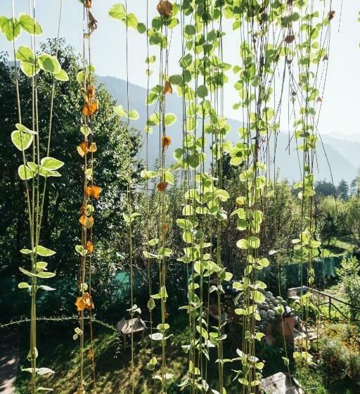 펜션 Orchards House The Hidden Tribe