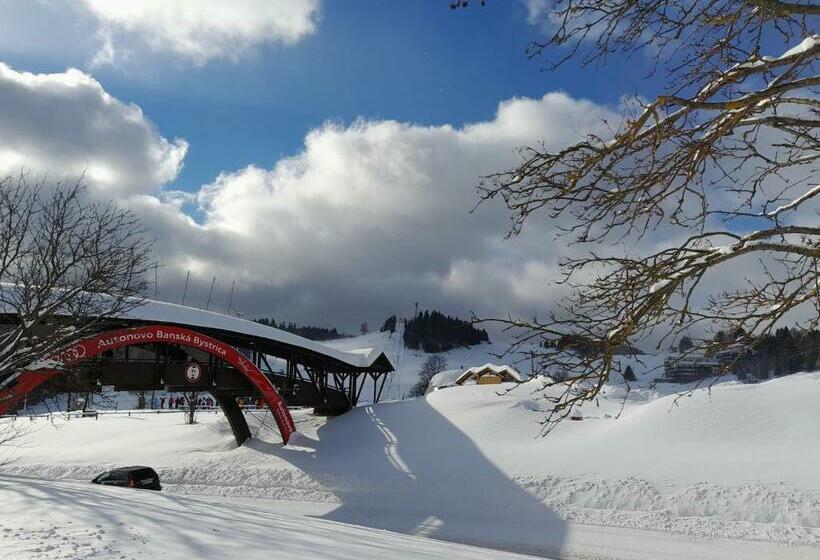 פנסיון Penzion Damisport