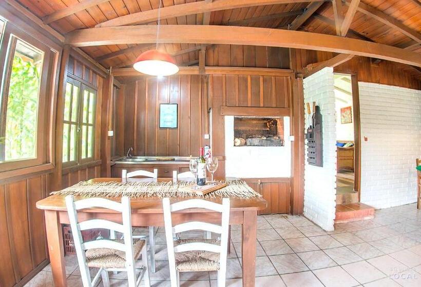 ペンション Pousada Rosa