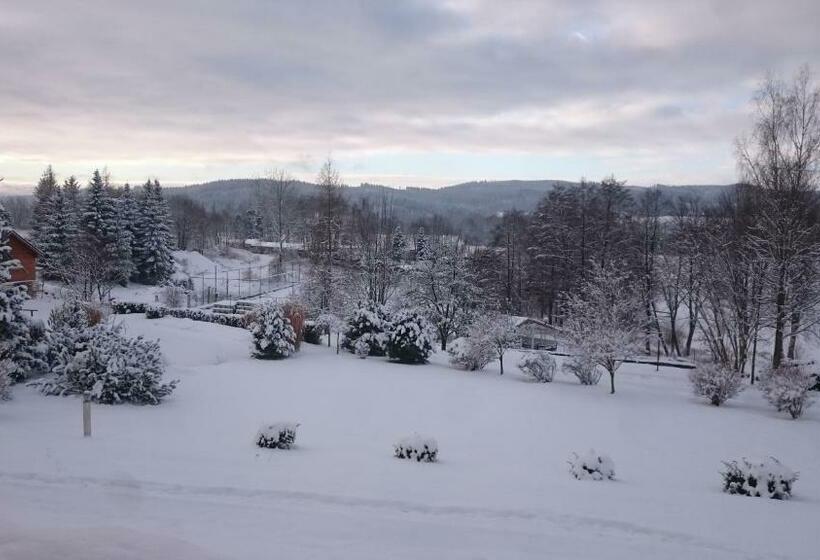 리조트 Lipno Wellness - Frymburk Hotel Private Family Room