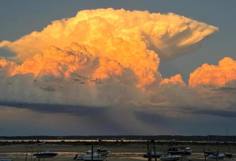 住宿加早餐  Chambres D Hôtes Villa La Louisiane