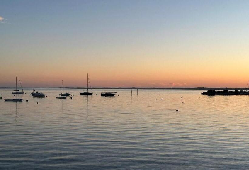 住宿加早餐  Chambres D Hôtes Villa La Louisiane