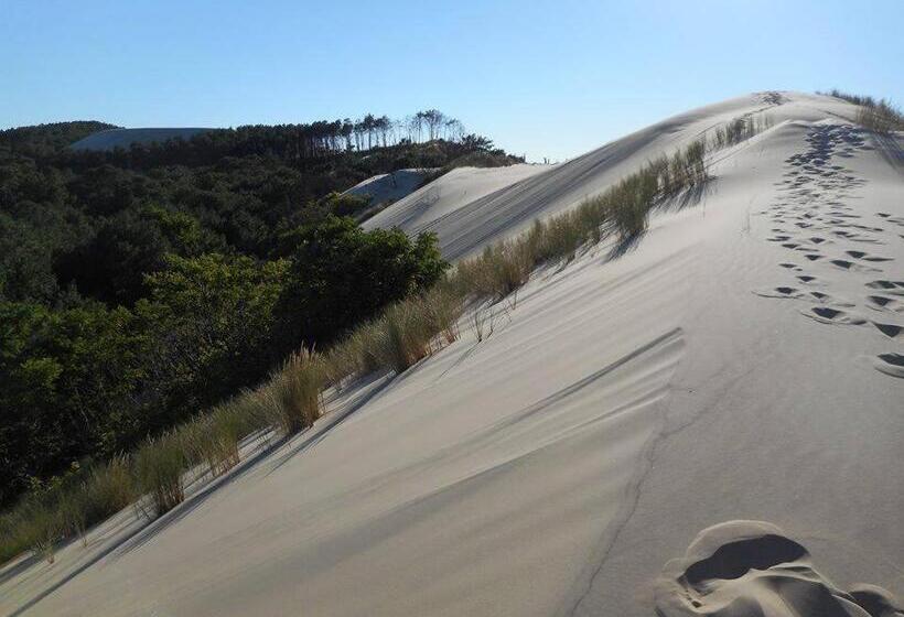 住宿加早餐  Chambres D Hôtes Villa La Louisiane