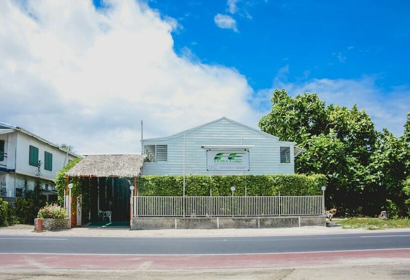 تختخواب و صبحانه Fema Lodge