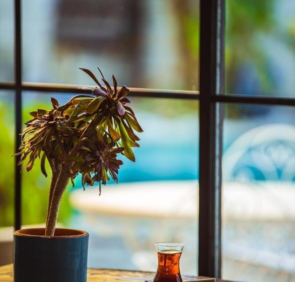 ホテル Cumbali Konak