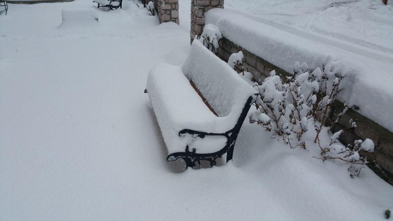 בית מלון כפרי Domus Inn