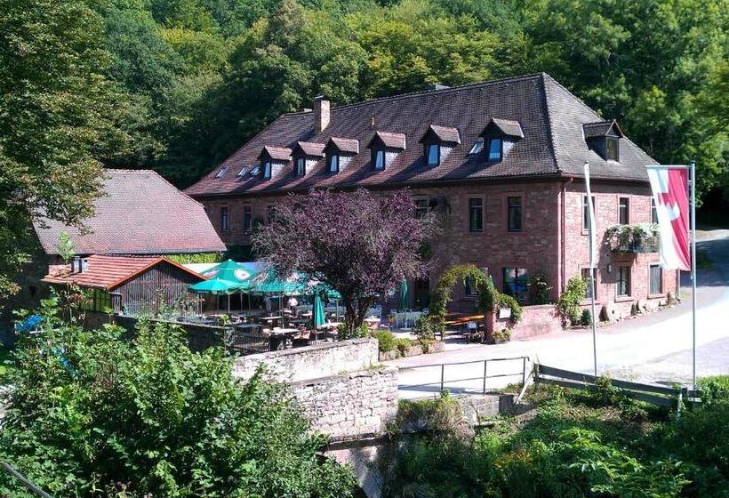 호텔 Gasthof Buchenmühle