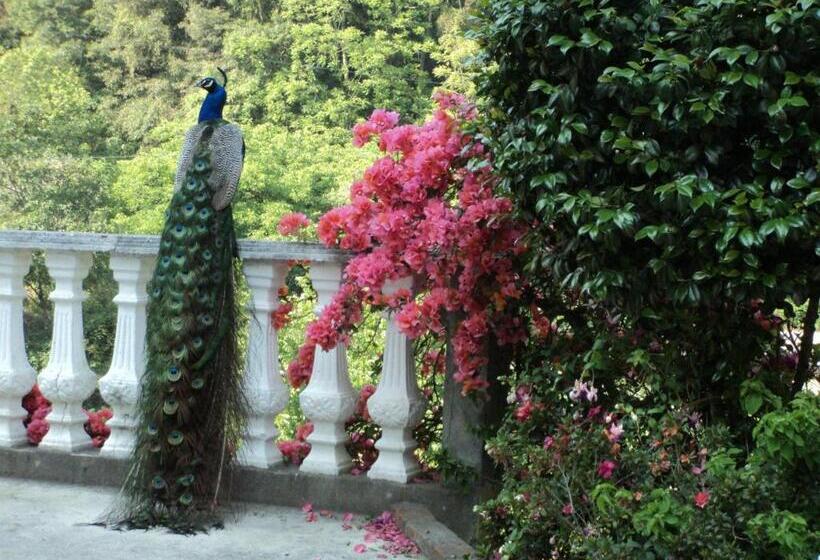 酒店 Otro Rollo En Jilotepec By Rotamundos