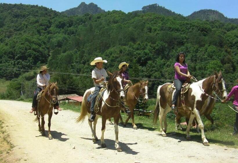 酒店 Otro Rollo En Jilotepec By Rotamundos