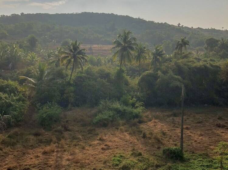 בית מלון כפרי Wellness Inn