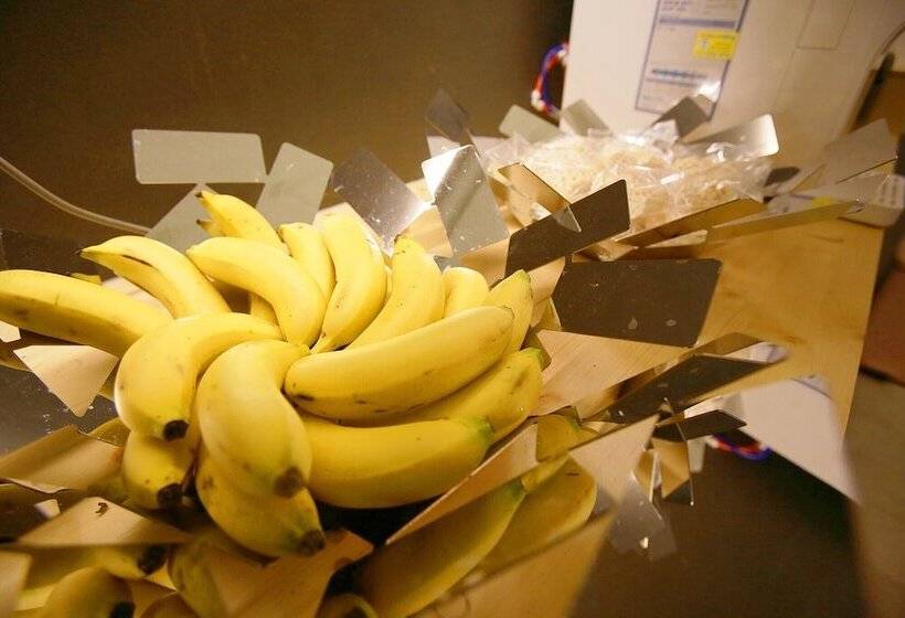 汽车旅馆  Bellino