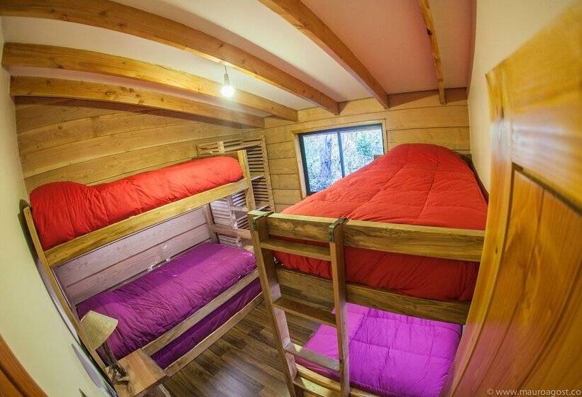 Okori Hostel Pucón