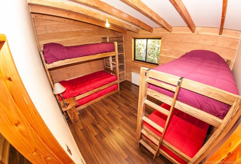 Okori Hostel Pucón