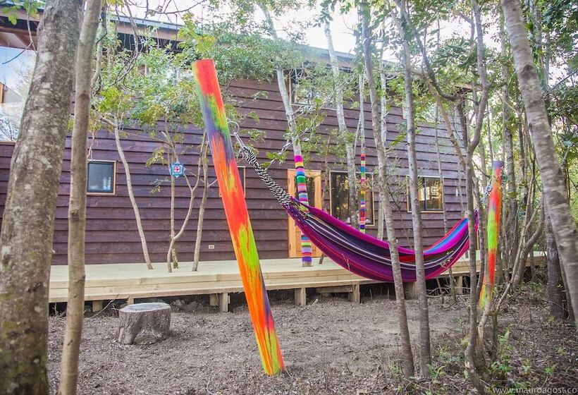 Okori Hostel Pucón
