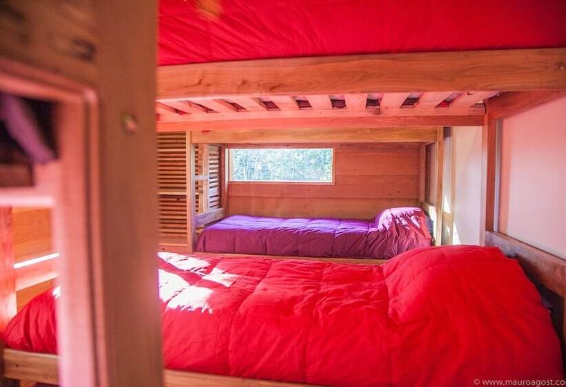 Okori Hostel Pucón