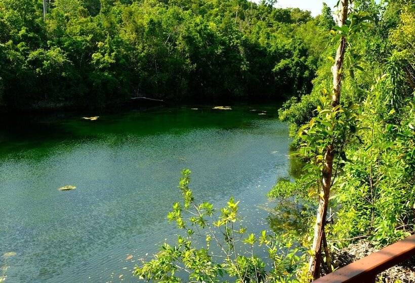 ペンション Maratua Guesthouse