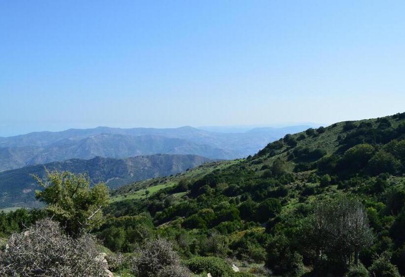 צימר Il Castello