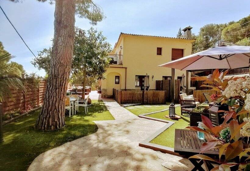 Хостел Cal Music B&b