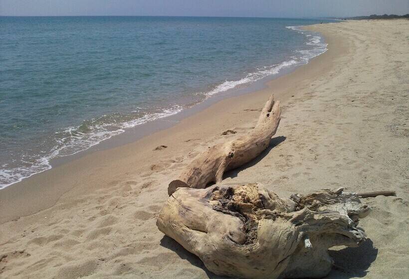 בית מלון כפרי Agriturismo La Casa Di Botro