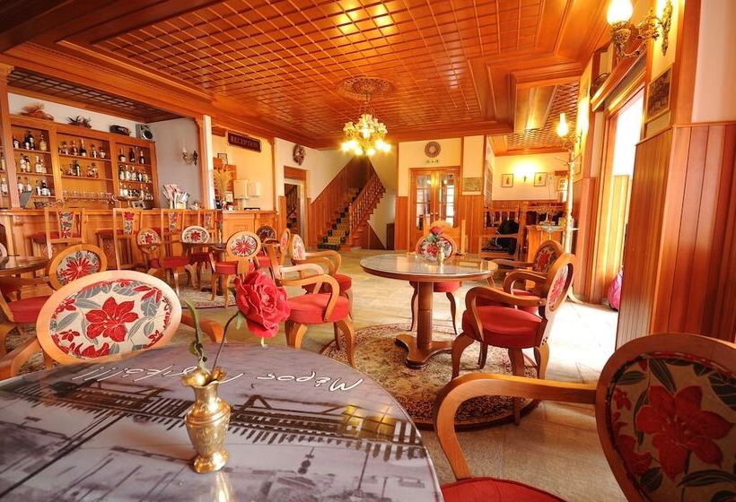 호텔 Archontiko Metsovou Luxury Boutique