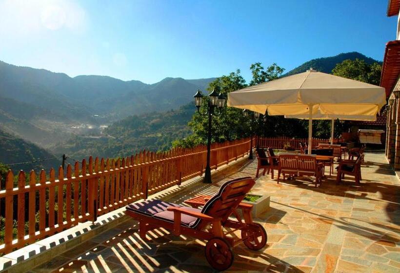 호텔 Archontiko Metsovou Luxury Boutique