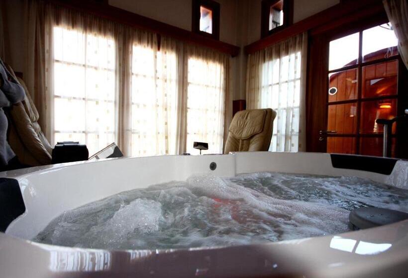 호텔 Archontiko Metsovou Luxury Boutique