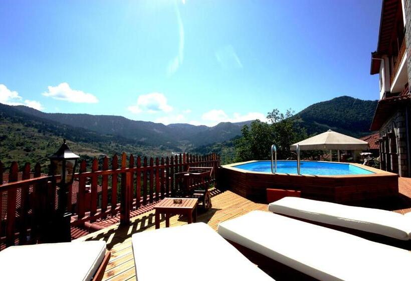 호텔 Archontiko Metsovou Luxury Boutique