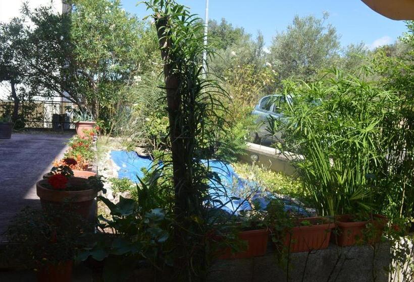 בית מלון כפרי Belvedere