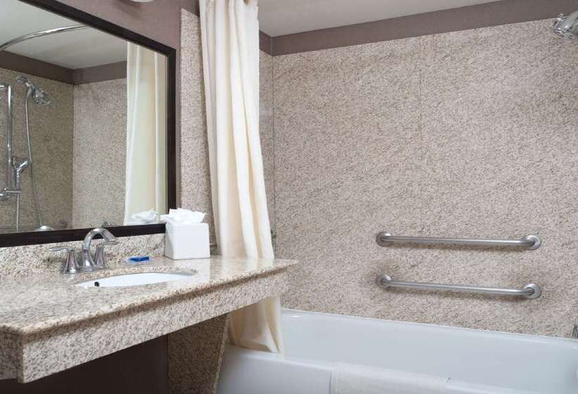 هتل Best Western Plus Las Vegas South Henderson