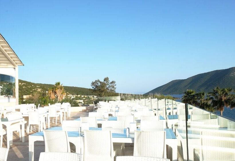 ホテル Bodrum Holiday Resort & Spa