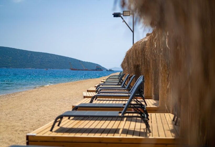 ホテル Bodrum Holiday Resort & Spa