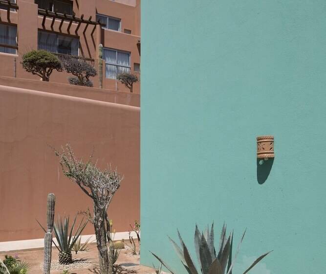 호텔 Club Regina Los Cabos