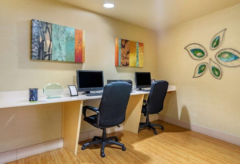 בית מלון כפרי Hampton Inn By Hilton Tampa Fairgrounds Casino