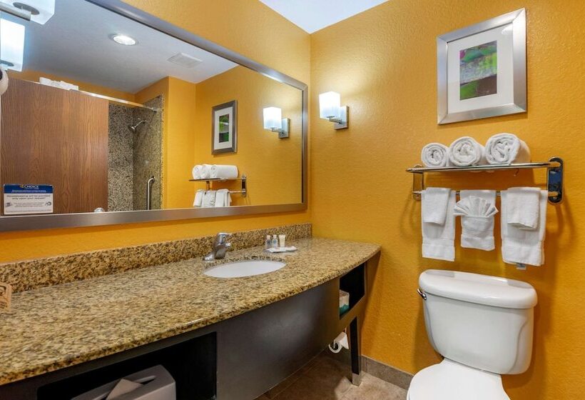 فندق Hampton Inn By Hilton Tampa Fairgrounds Casino